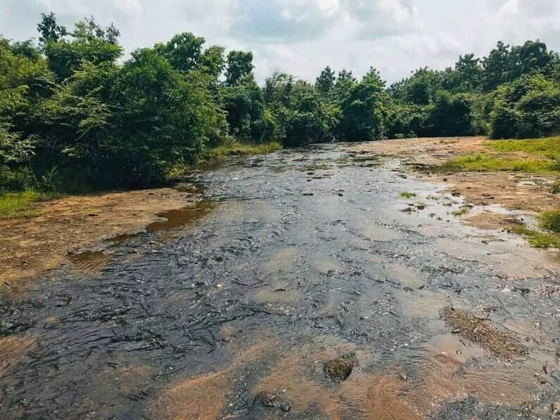 মন মতলীয়া কৰা গোড়াবাড়ীৰ সেই কদমৰ সুৱাস (নিৰ্মালী মহন্ত)