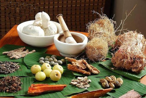 আয়ুৰ্বেদৰ সহযোগত ক’ভিডৰ বিৰুদ্ধে যুঁজ (ডাঃ কৰবী হাজৰিকা চৌধুৰী)