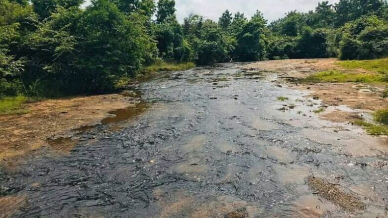 মন মতলীয়া কৰা গোড়াবাড়ীৰ সেই কদমৰ সুৱাস (নিৰ্মালী মহন্ত)