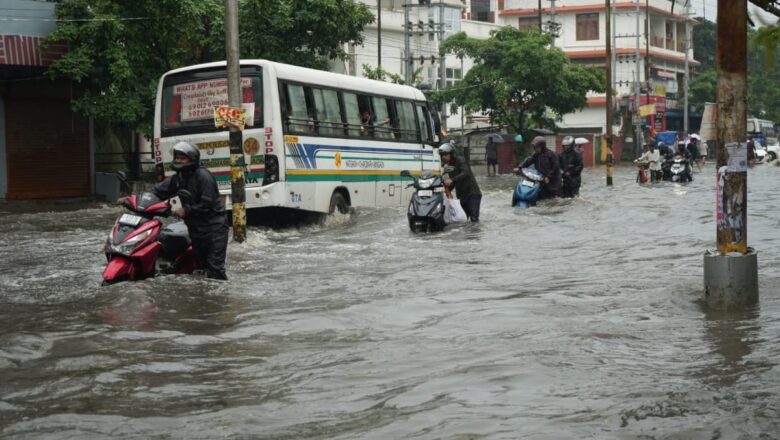 গুৱাহাটীৰ কৃত্ৰিম বানৰ প্ৰকৃত কাৰণ আৰু সমাধানৰ কিছু চিন্তা (সৌৰভ কুমাৰ দাস )